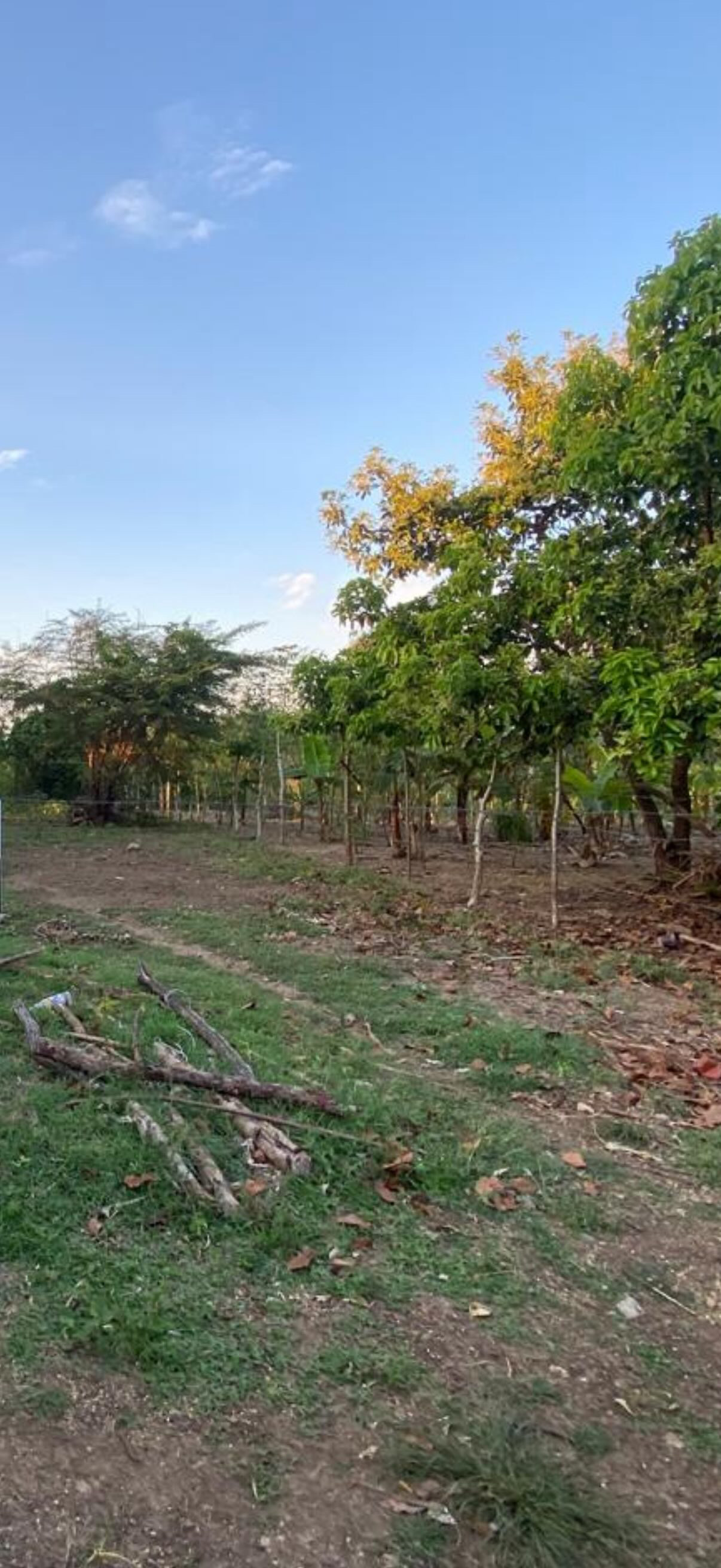 Solar en venta  con una extensión superficial de 748 metros cuadrados, ubicado en el Paraje La Cabir