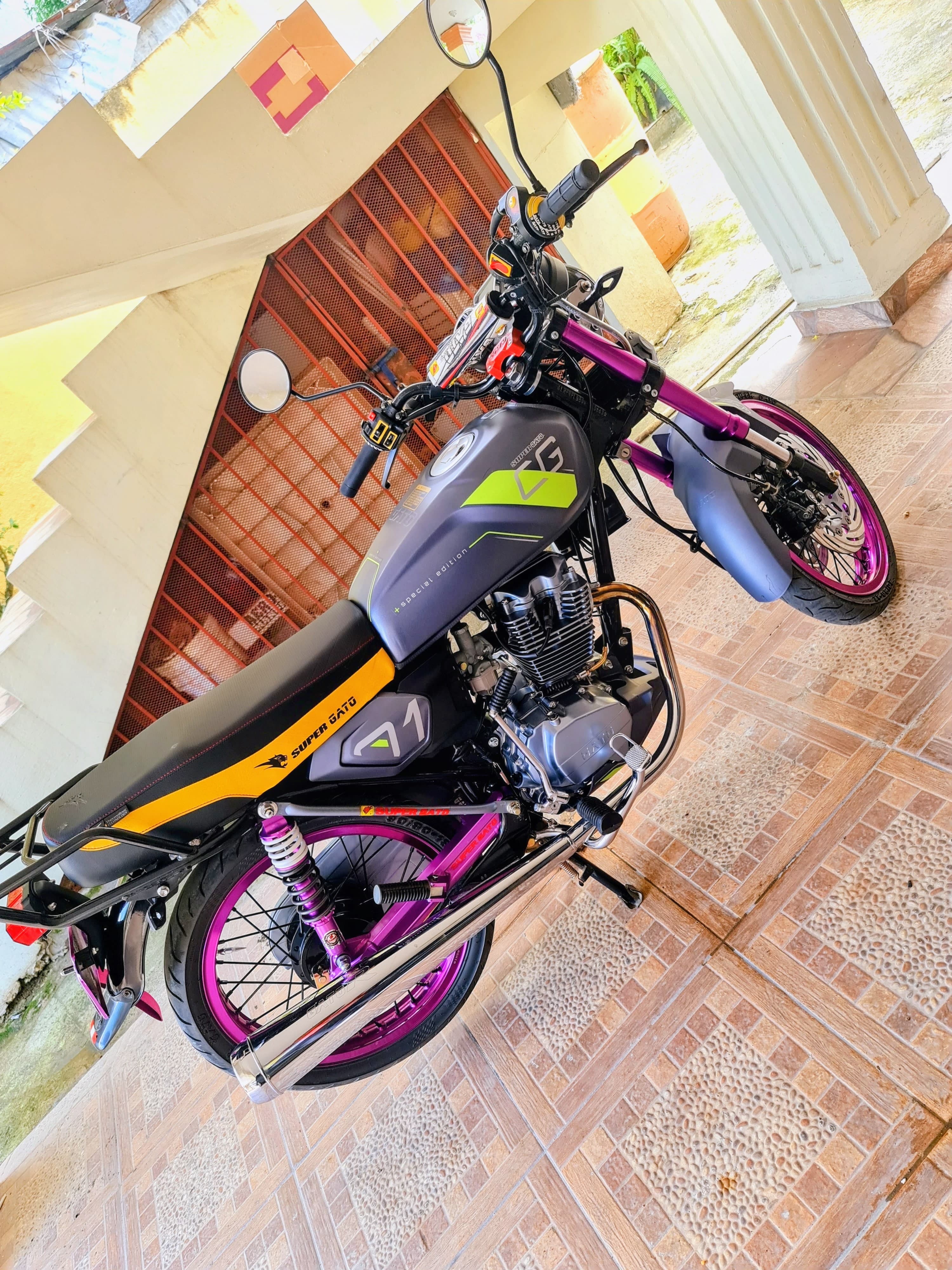 CG SUPER GATO ESPECIAL EDITION 2021🔥