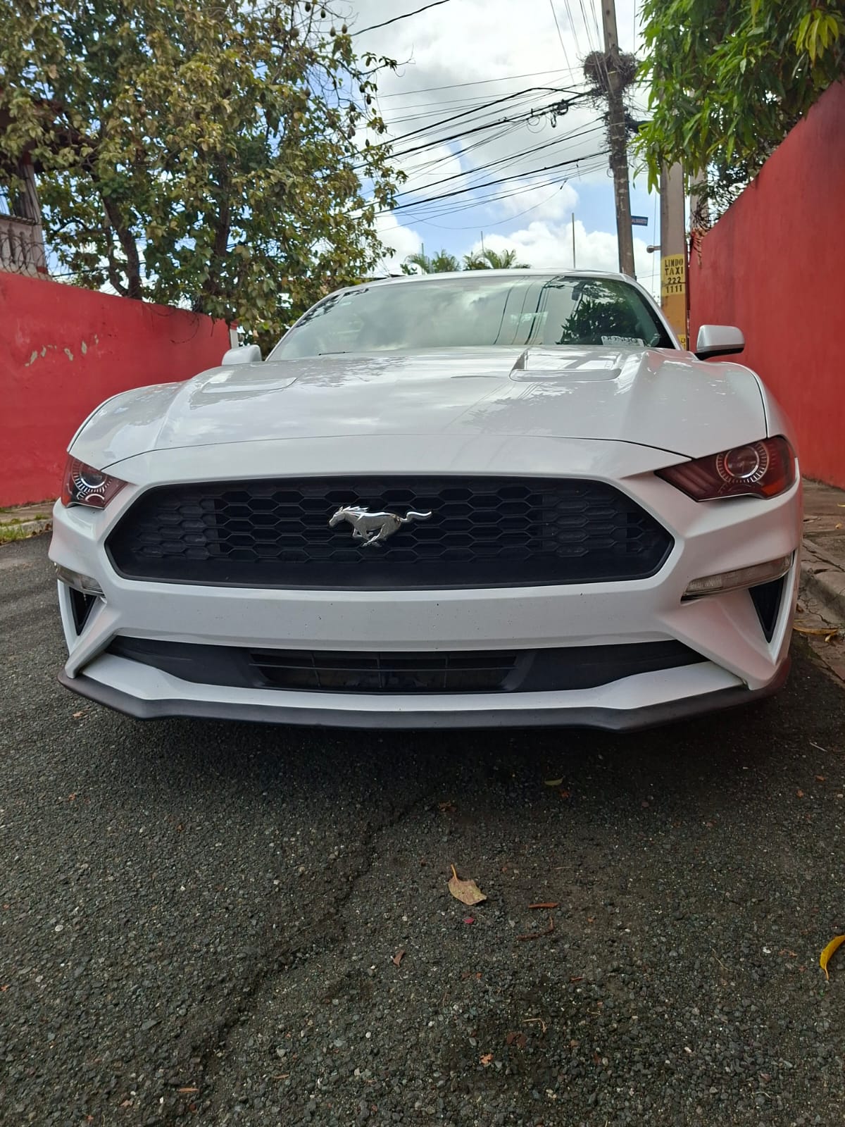 Autos - Ford Mestang 2019 único Dueño 
14600 mi