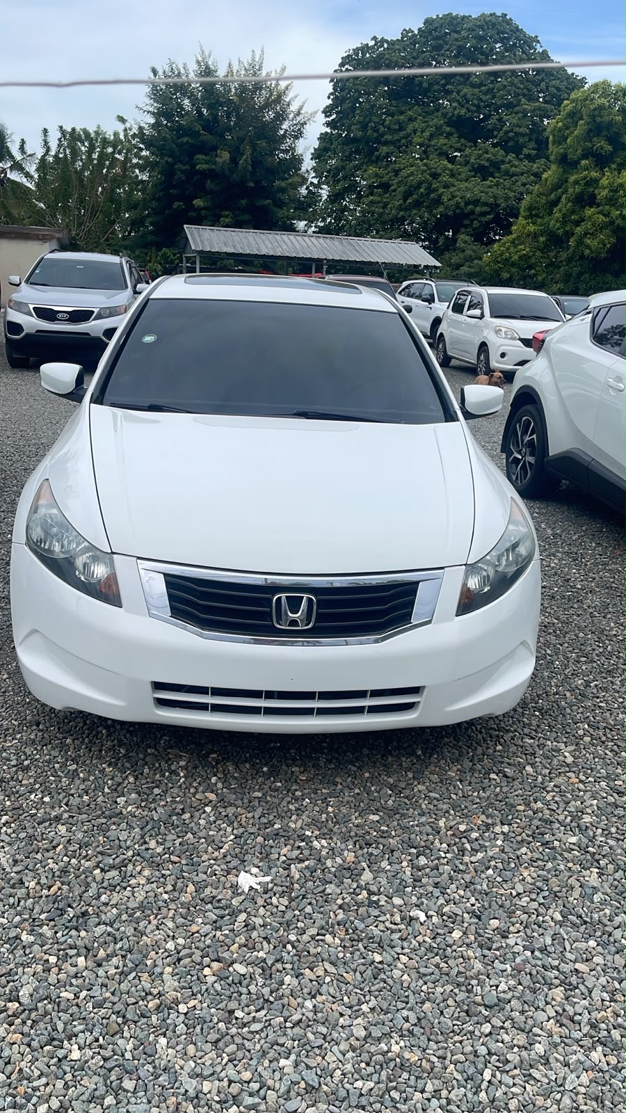 Autos - Honda acol 2010 v4 el fll sonruh 

pre