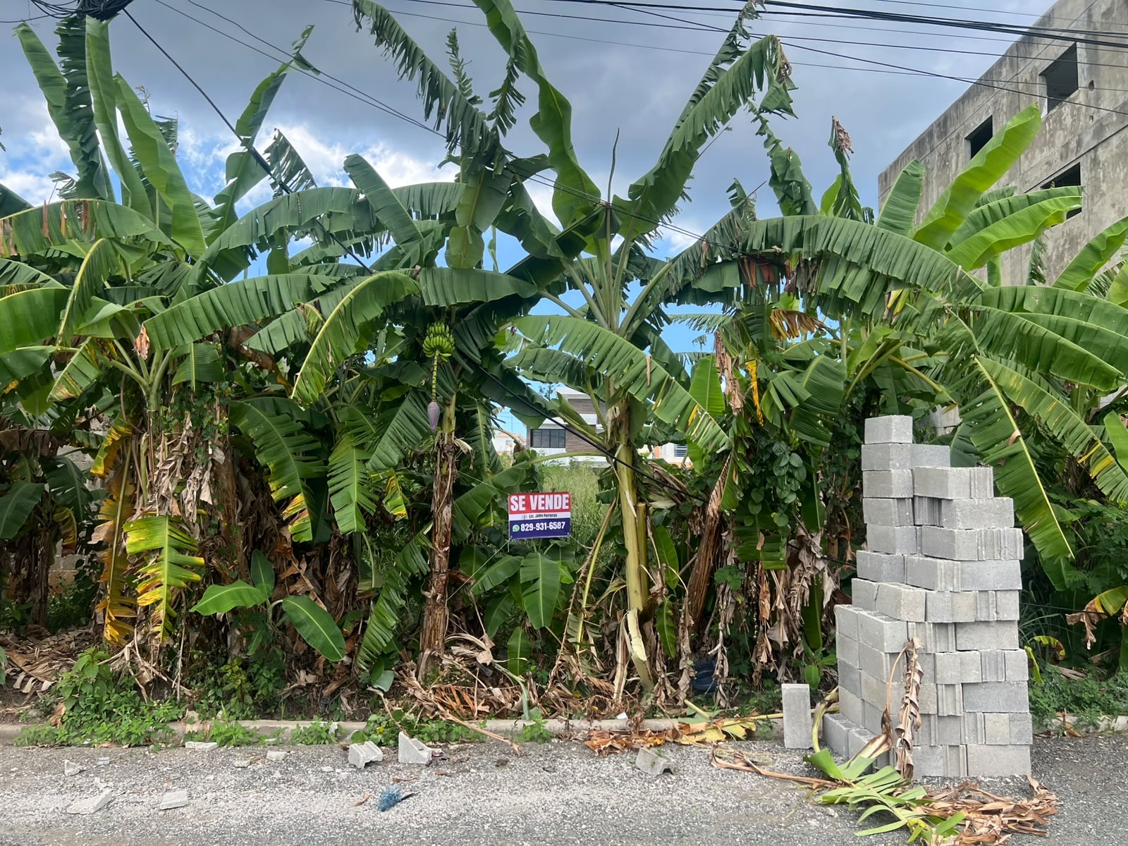 Terrenos - Se vende : si

Precio 7.4 millones neg