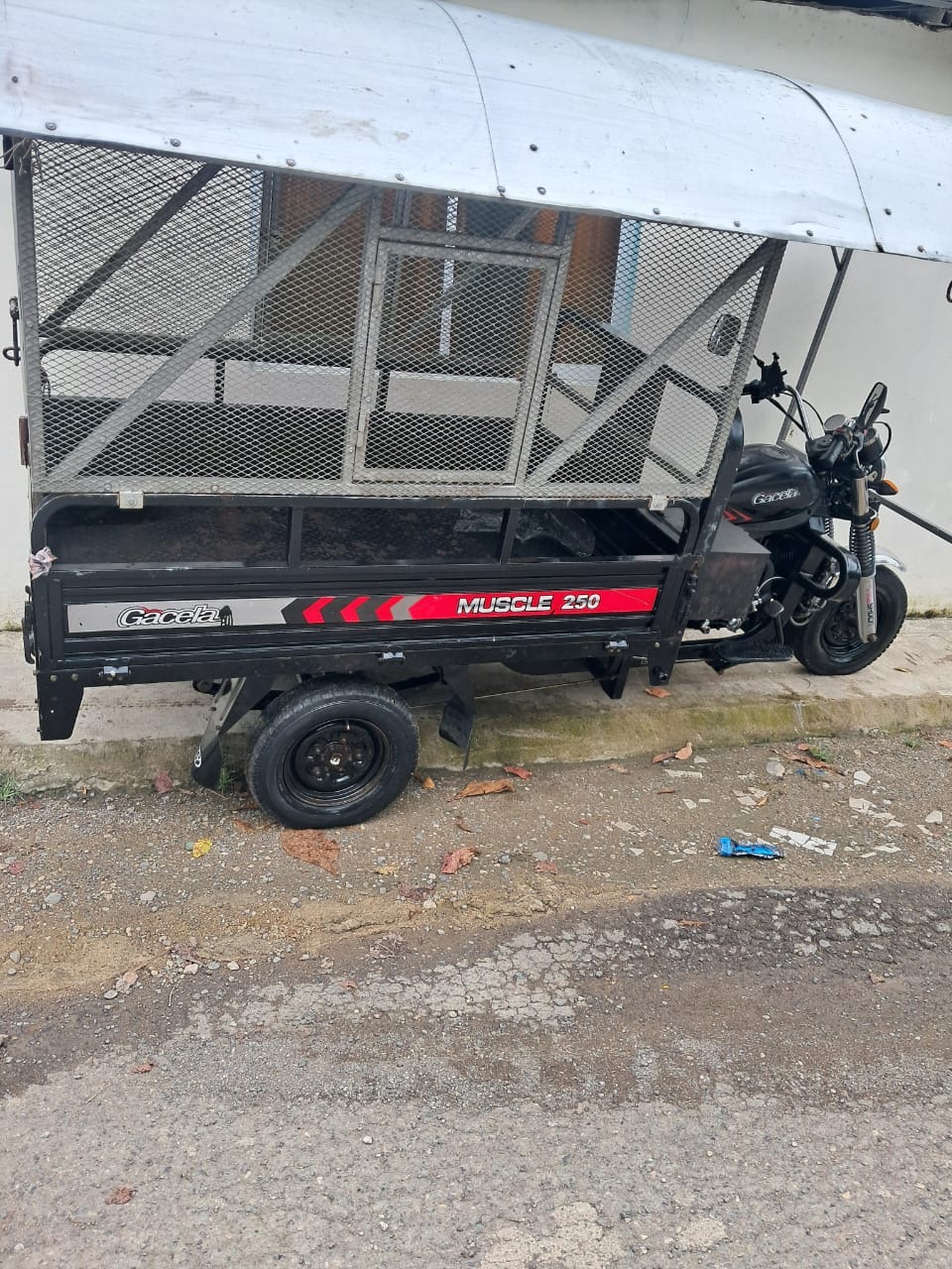 Motos - Motor gacera 250     

precio  110,000