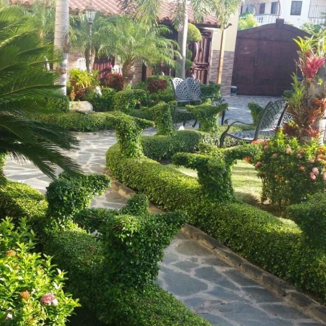 Servicios - Vivero Camila ,con venta de plantas orna