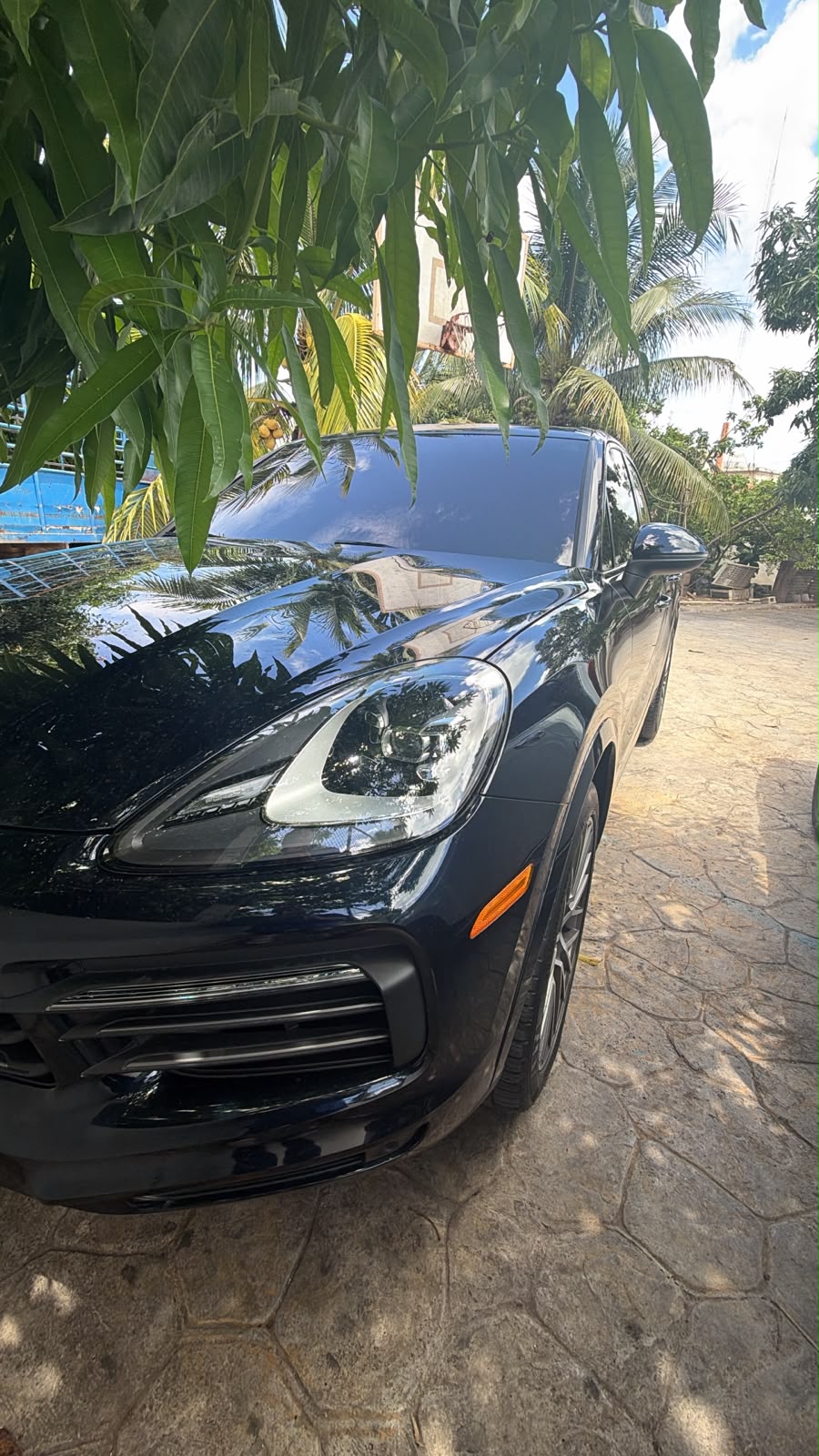 Autos - 2023 Porsche Cayenne
Platinum Edition