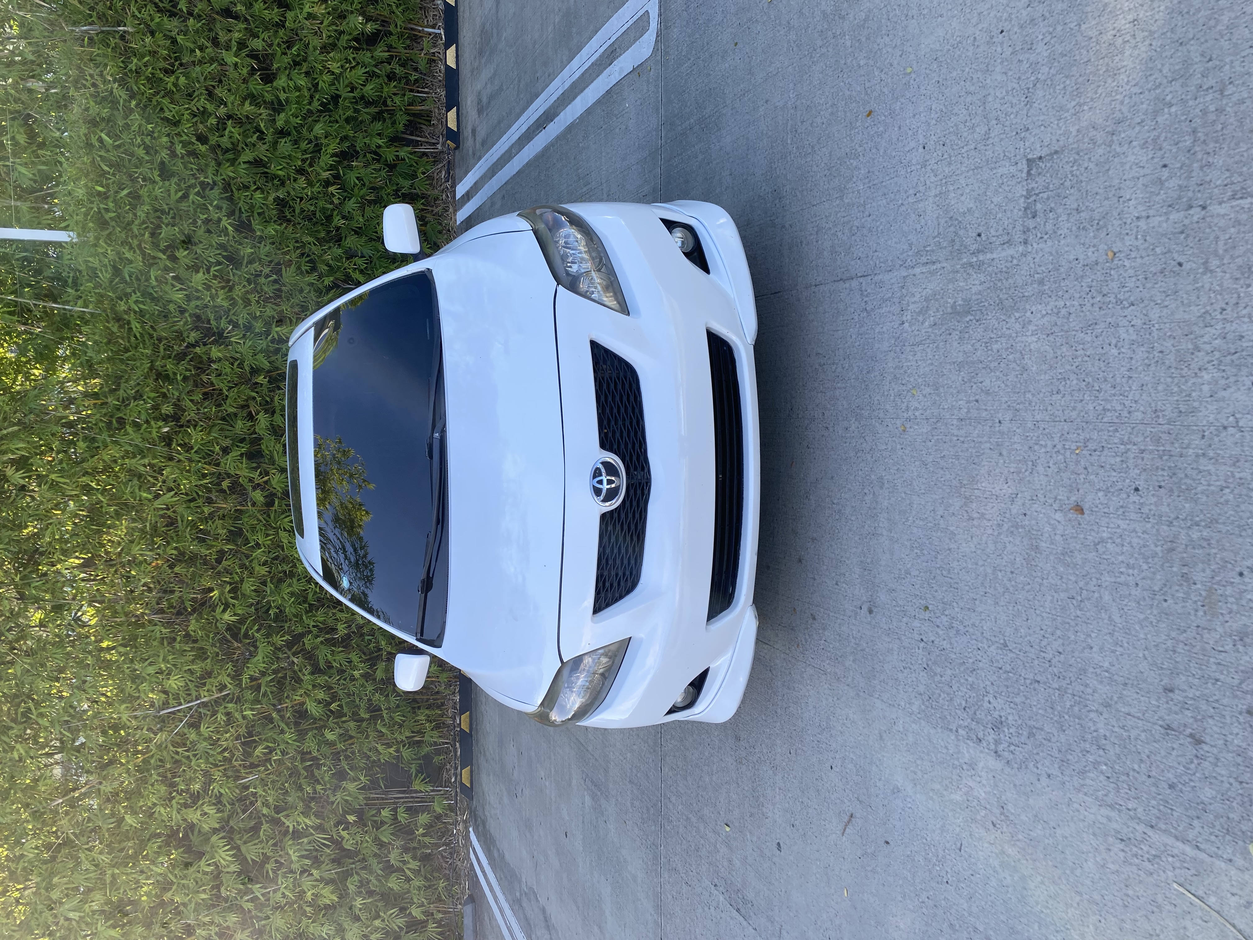 Toyota Corolla 2009 full sellado completo