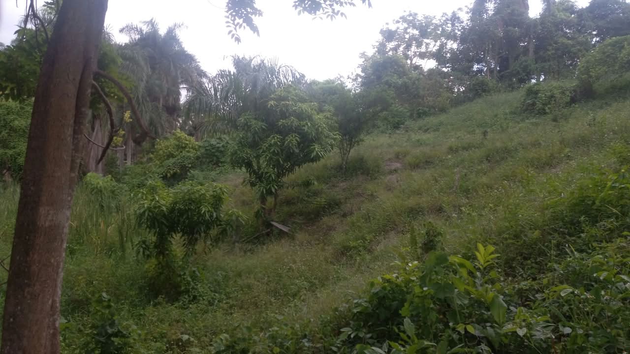 Terrenos - 6,299mt2. $1,100 pesos por metro. 

Ub
